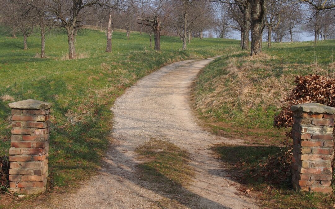 What’s Stopping You?